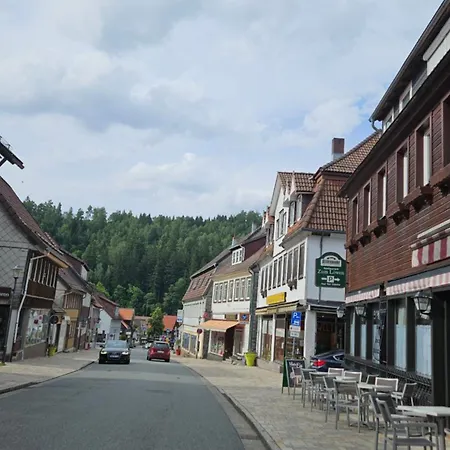Harz Deluxe In Διαμέρισμα Altenau (Lower-Saxony)